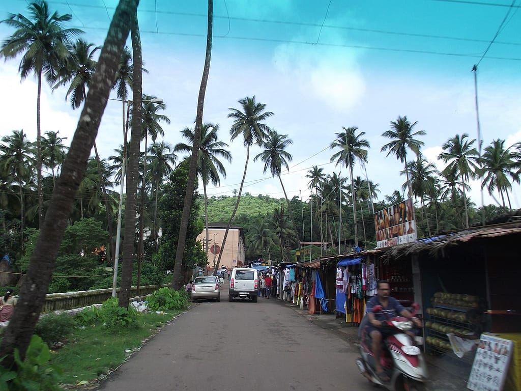 goa local market